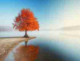 网​站​审​查‌员‍是‌做‌什‌么‍的‍